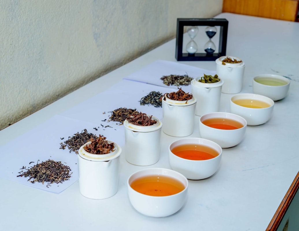 Fermentierte Lebensmittel - Darmgesundheit